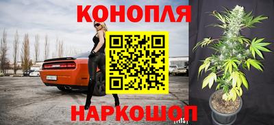 Альфа ПВП Заволжье