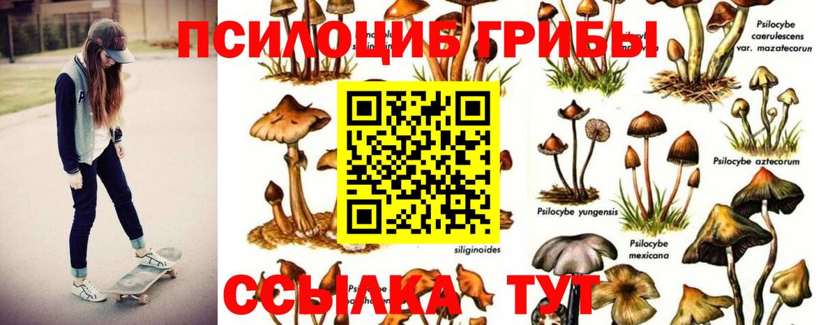 купить наркотик  Вход с VPN  Набережные Челны  Псилоцибиновые грибы Magic Shrooms 