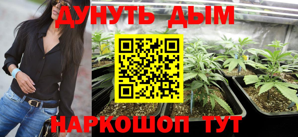 Шишки марихуана планчик  Канабис планчик  Набережные Челны  Шишки марихуана семена  Вход с VPN 